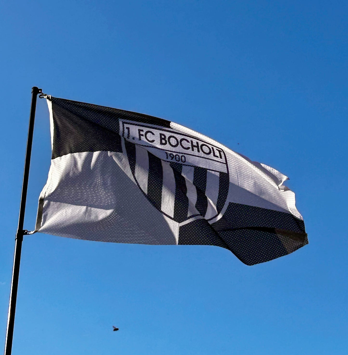 Fahne „Hissfahne 1. FC Bocholt“